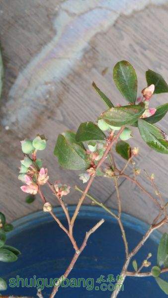 IMG_20150129_074131.jpg