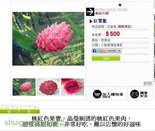MCZ9QSR3O0I$S4(G5V)A@UO.jpg