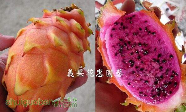 W`Y_408JUX@NJS6VYJ)8WJ9.jpg