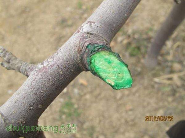 22.jpg