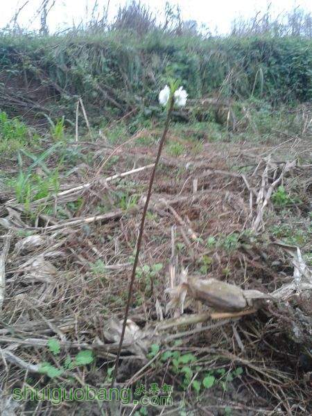 20141030_173916.jpg