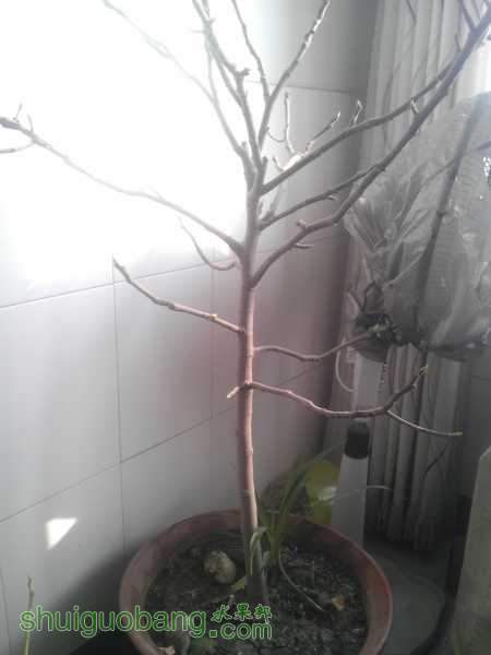 IMAG0705.jpg