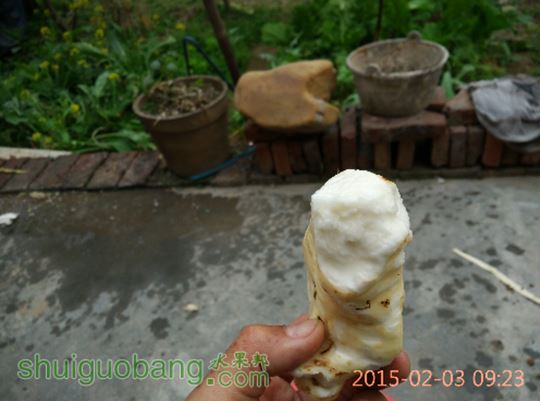 IMG_20150203_092325.jpg