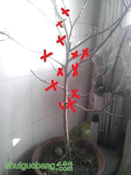 122559cb56e6qspd52swzv.jpg.thumb.jpg