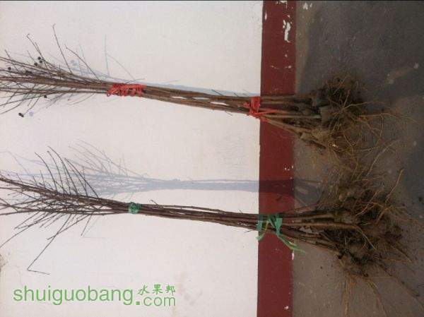 QQͼƬ20150205093926.jpg