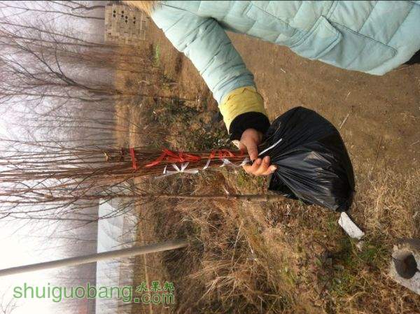 QQͼƬ20150205093912.jpg