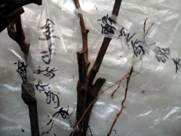 5ǩ.JPG