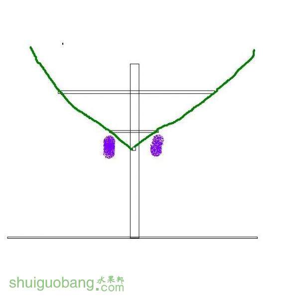 V.JPG