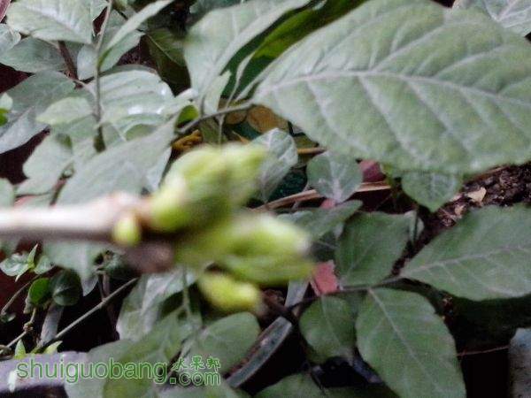 IMG_20150205_100013.jpg