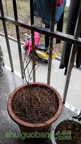 IMG_20150207_124153.jpg