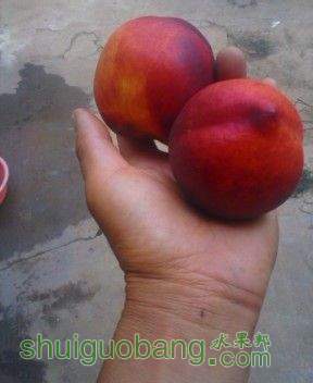 IMG_20140905_085254_0.jpg
