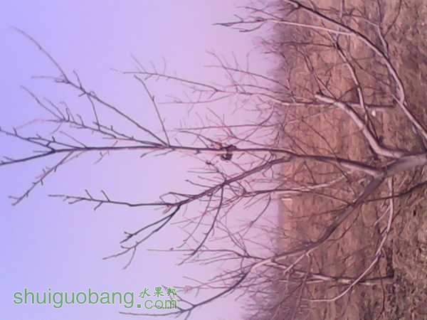 IMG_20150209_112600033.jpg