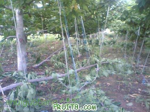 1106281949eade69f0657f8387[1].jpg
