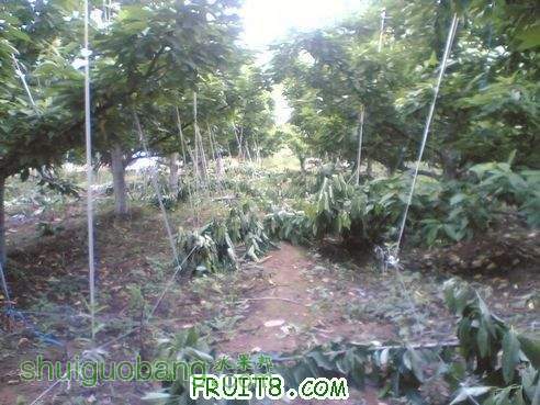 1106281949ef96cd569705aa65[1].jpg