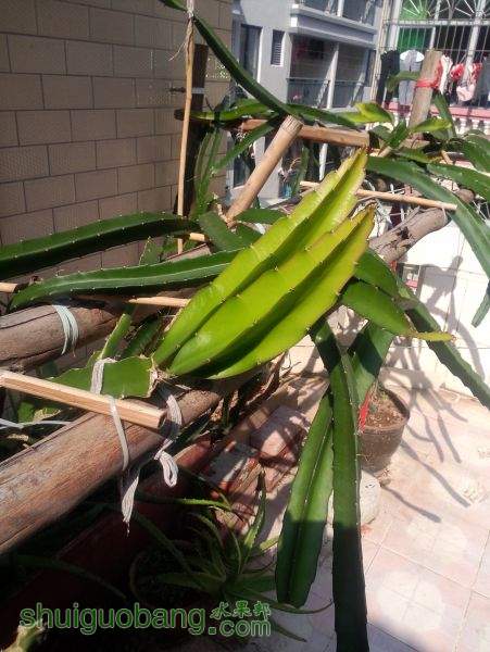IMG20141210045.jpg