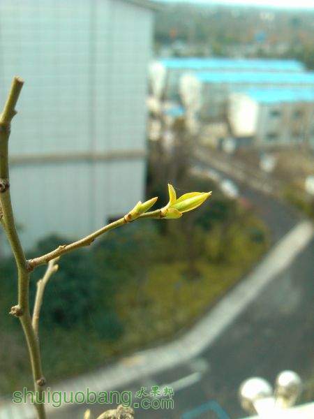 IMG_20150215_093734.jpg