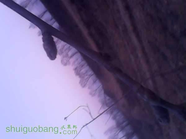 IMG_20150213_180420594.jpg