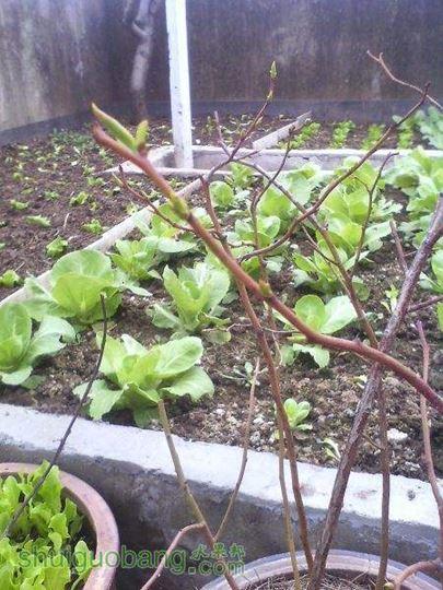IMG0216134600.jpg