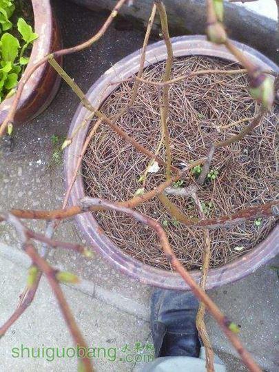 IMG0216134700.jpg