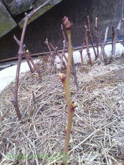 IMG0216134701.jpg