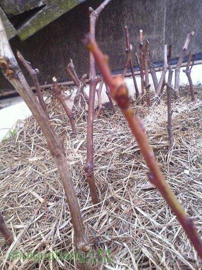 IMG0216134800.jpg