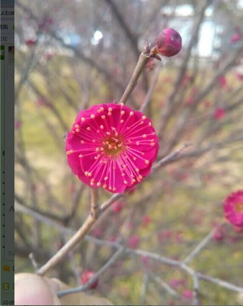 QQͼƬ20150216215624.jpg