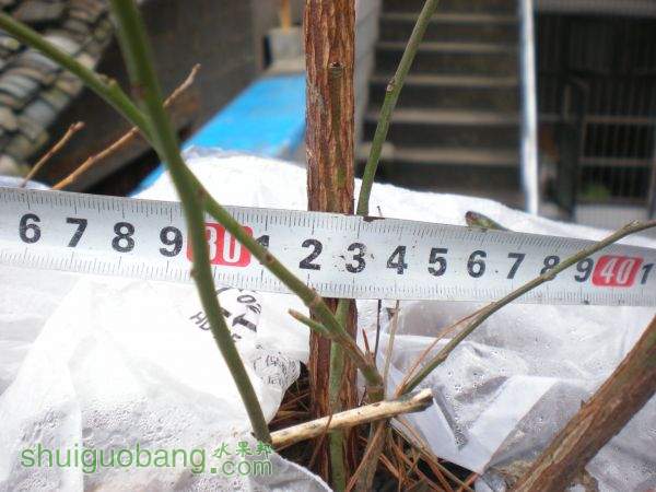 DSCN2820.JPG