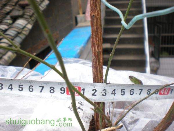 DSCN2819.JPG