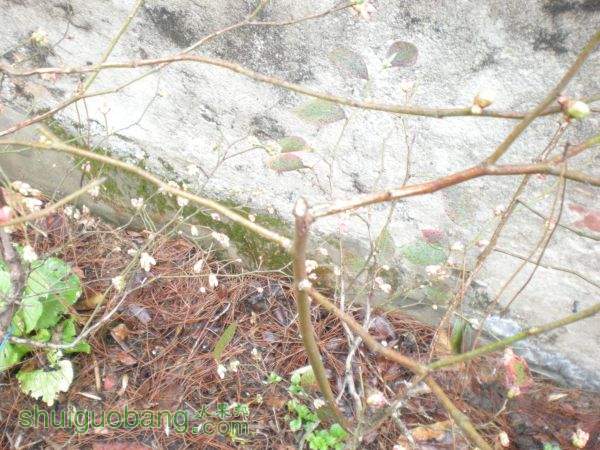 DSCN2814.JPG