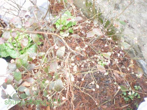 DSCN2813.JPG