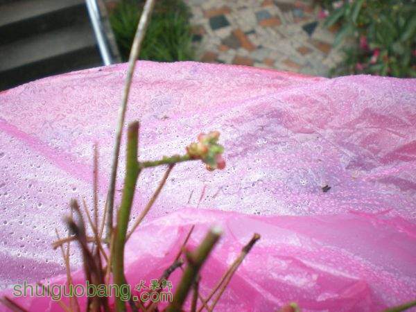 DSCN2816.JPG