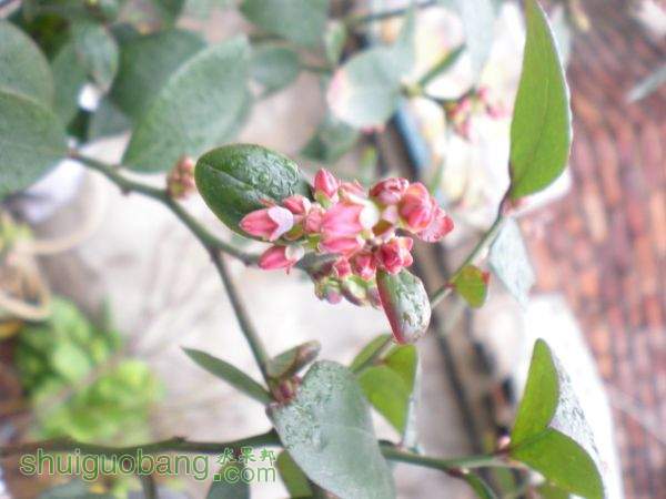 DSCN2818.JPG