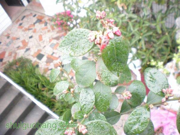 DSCN2833.JPG