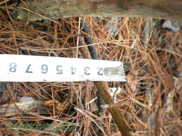 DSCN2835.JPG
