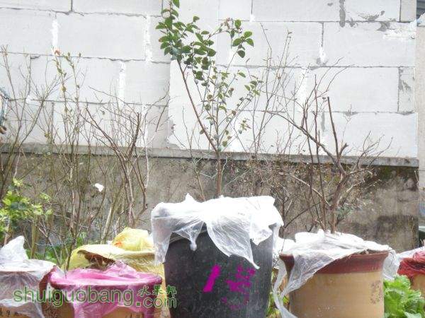 DSCN2837.JPG