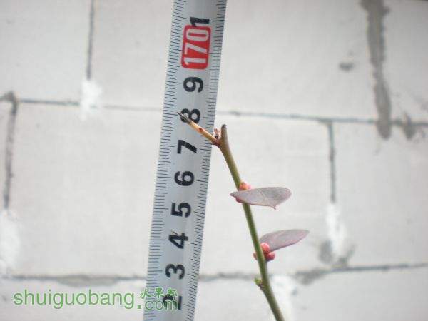 DSCN2839.JPG