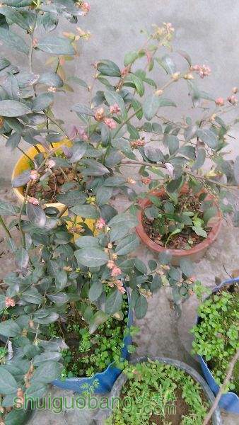 IMG_20150210_170806.jpg