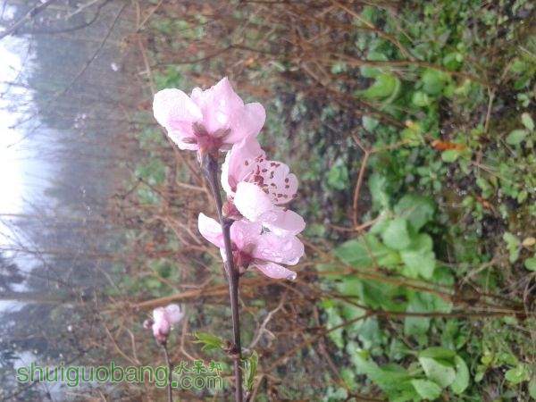 20150222_110908.jpg