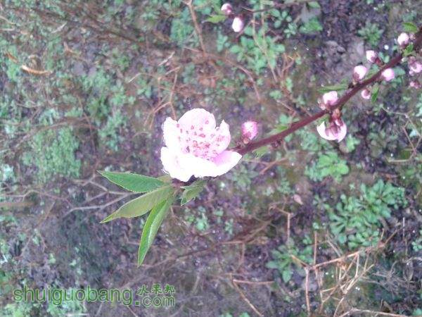 20150222_110917.jpg