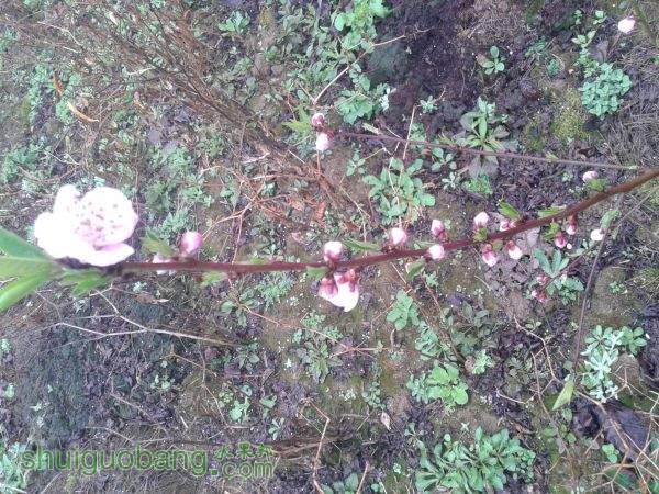 20150222_110926.jpg