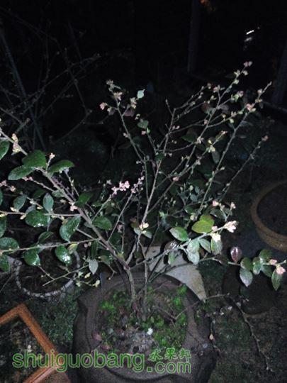 IMG_20150225_215927.jpg