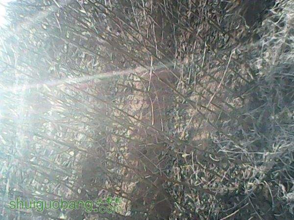 IMG10048.jpg