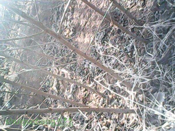 IMG10049.jpg