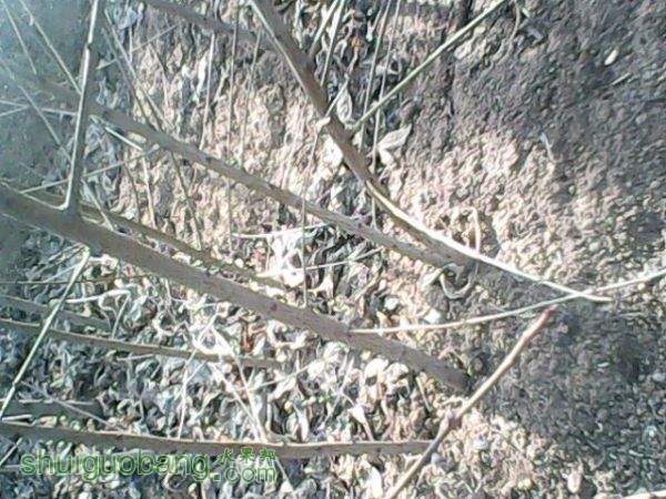 IMG10050.jpg