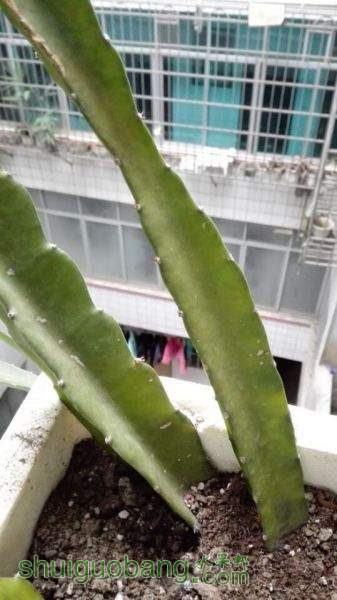 QQͼƬ20150228085941.jpg