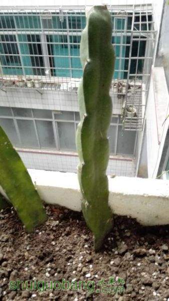 QQͼƬ20150228085934.jpg