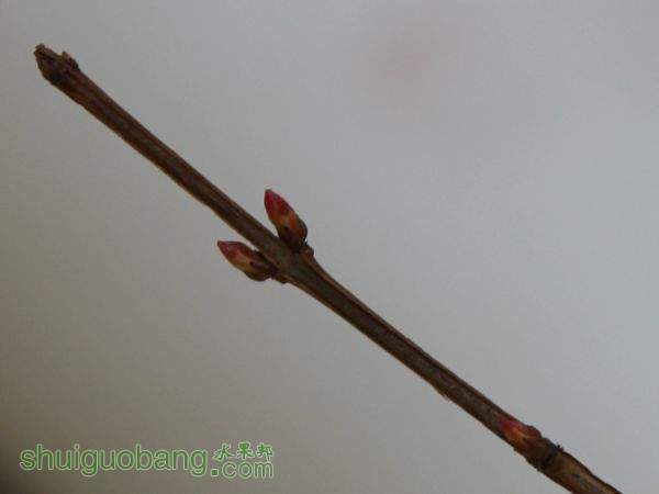 IMG_6318.JPG