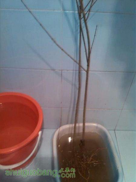 QQͼƬ20150228094811.jpg