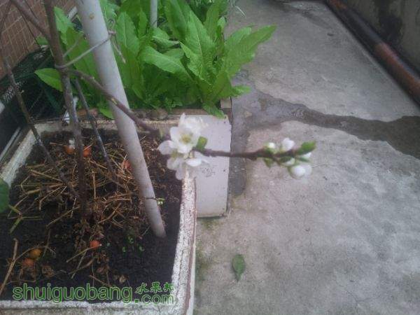 20150226_170832.jpg