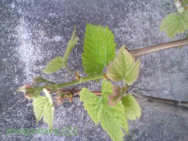 IMG_20150301_165353764.jpg